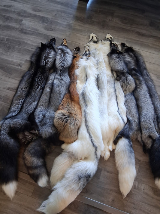 Tanned Canadian Fox Wall Hangers